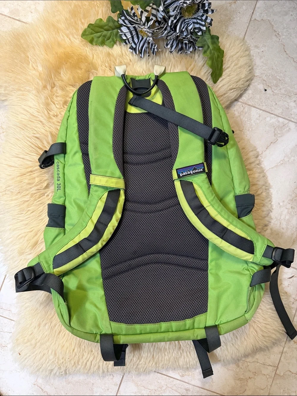 Patagonia Lime Green  Outdoor Daypack